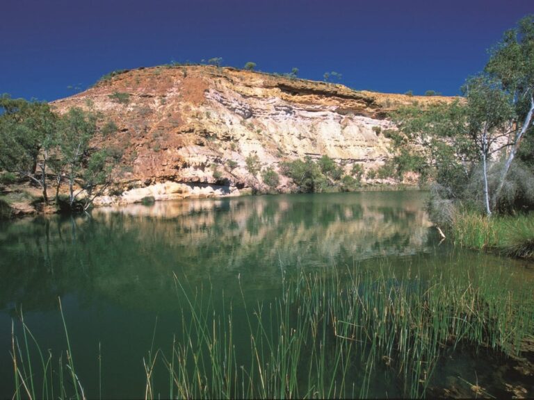 Colonisation OF Mind